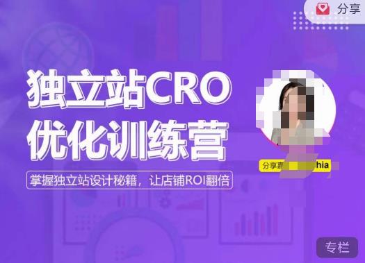 独立站CRO优化训练营，掌握独立站设计秘籍，打造高转化的独立站，让店铺ROI翻倍 - 学咖网-学咖网