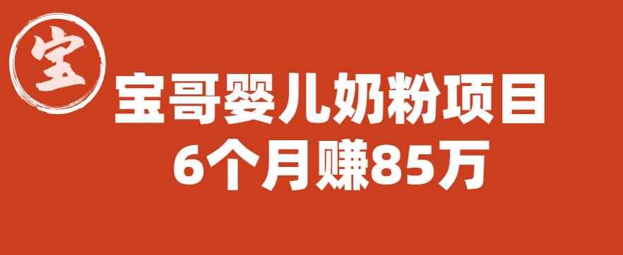 婴儿奶粉项目，6个月赚85W【图文非视频】【揭秘】 - 学咖网-学咖网