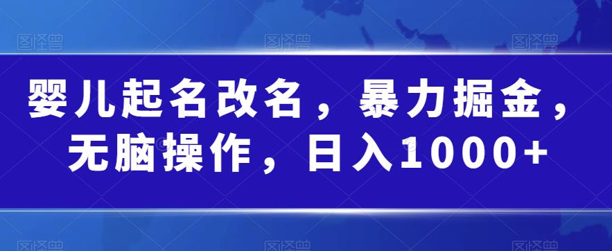 婴儿起名改名，暴力掘金，无脑操作，日入1000+【揭秘】 - 学咖网-学咖网