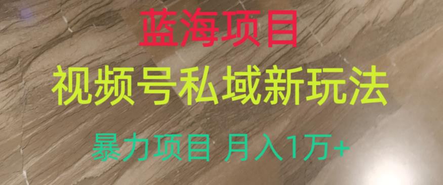 蓝海项目，视频号私域新玩法，暴力项目月入1万+【揭秘】 - 学咖网-学咖网