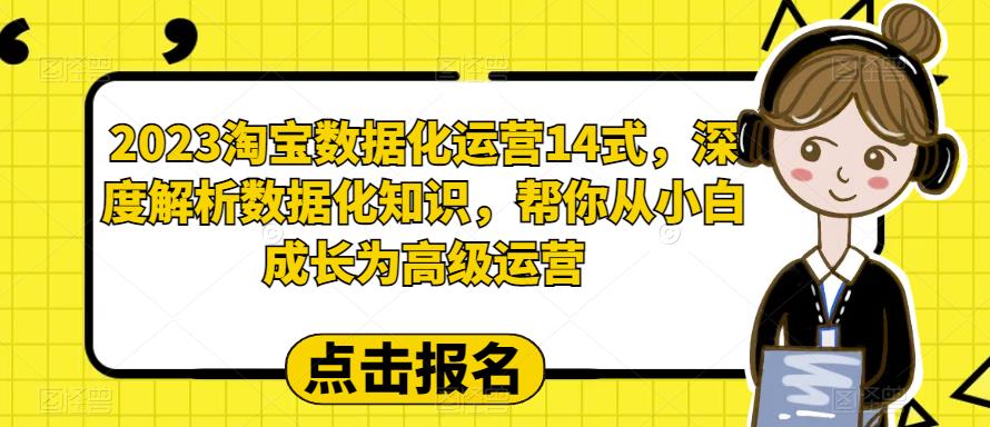 2023淘宝数据化-运营 14式，深度解析数据化知识，帮你从小白成长为高级运营 - 学咖网-学咖网