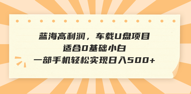 蓝海高利润，车载U盘项目，适合0基础小白，一部手机轻松实现日入500+  - 学咖网-学咖网