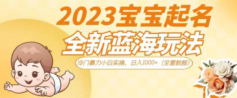 2023宝宝起名全新蓝海玩法，冷门暴力小白实操，日入1000+（全套教程）【揭秘】 - 学咖网-学咖网