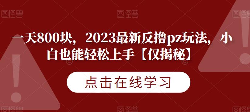 一天800块，2023最新反撸PZ玩法，小白也能轻松上手【仅揭秘】 - 学咖网-学咖网