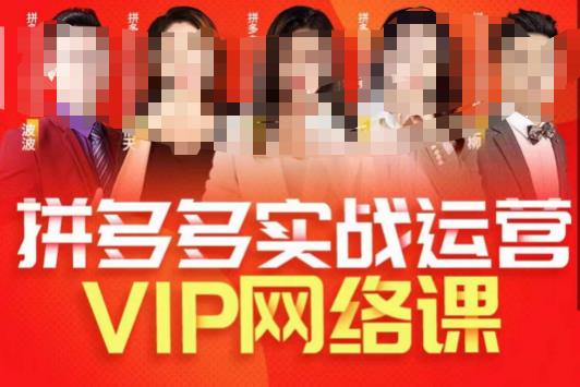 推易拼多多VIP全套直播课程，拼多多店铺实操玩法+实战玩法选款内功+直通车高阶等 - 学咖网-学咖网