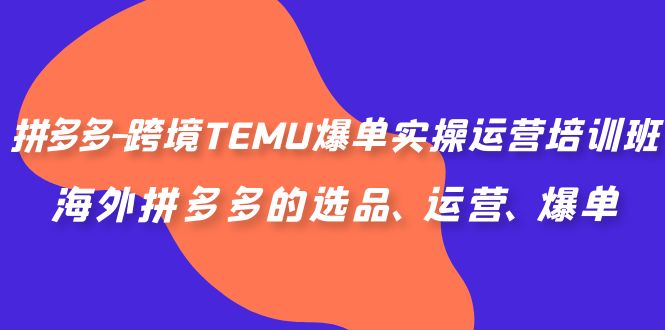 拼多多跨境TEMU爆单运营实操培训班，海外拼多多的选品、运营、爆单 - 学咖网-学咖网