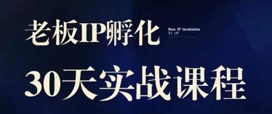 诸葛·2023老板IP实战课，实体同城引流获客，IP孵化必听 - 学咖网-学咖网