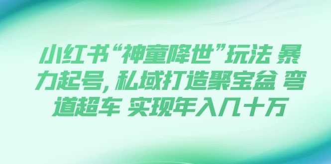 小红书“神童降世”玩法 暴力起号,私域打造聚宝盆 弯道超车 实现年入几十万 - 学咖网-学咖网