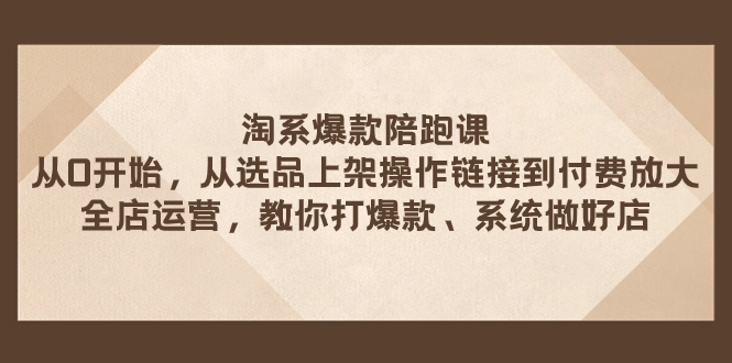 淘系爆款陪跑课 从选品上架操作链接到付费放大 全店运营 打爆款 系统做好店 - 学咖网-学咖网