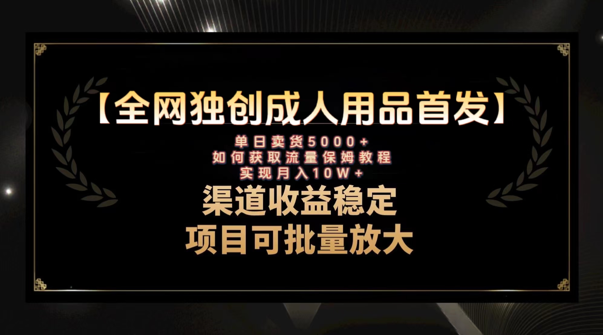 最新全网独创首发，成人用品赛道引流获客，月入10w保姆级教程 - 学咖网-学咖网