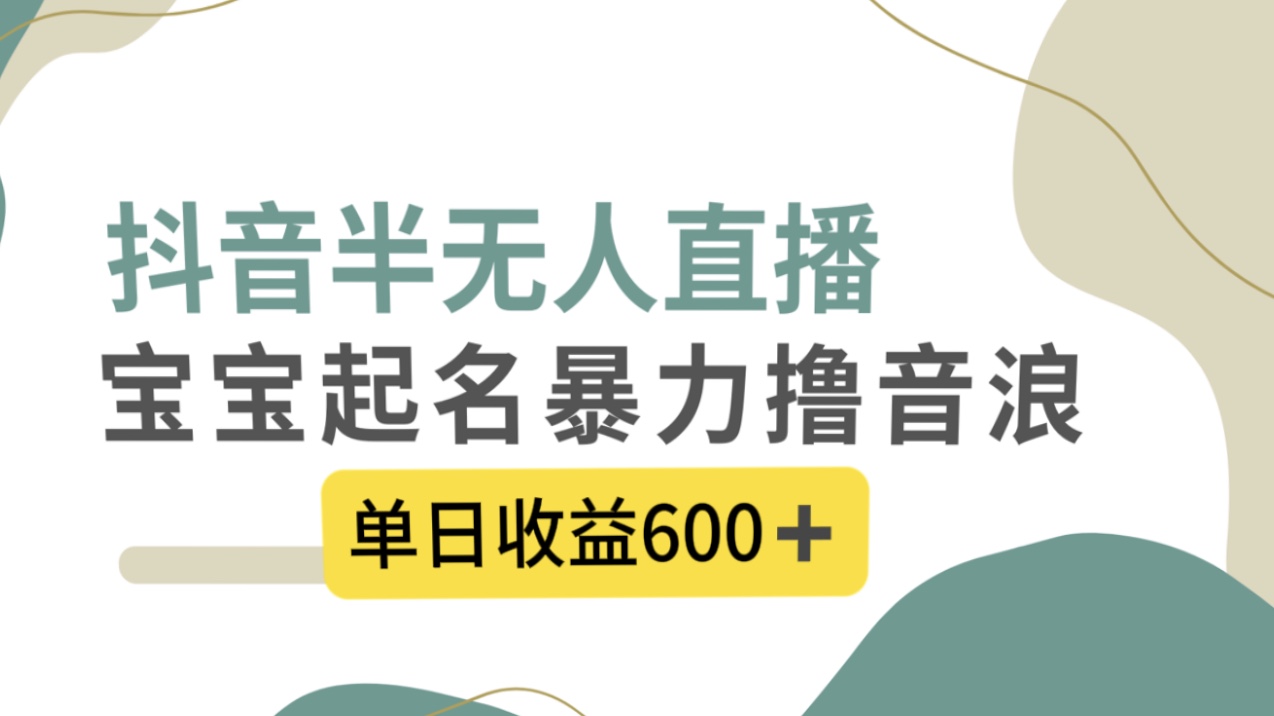 抖音半无人直播，宝宝起名，暴力撸音浪，单日收益600+ - 学咖网-学咖网