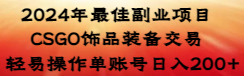 2024年最佳副业项目 CSGO饰品装备交易 轻易操作单账号日入200+ - 学咖网-学咖网