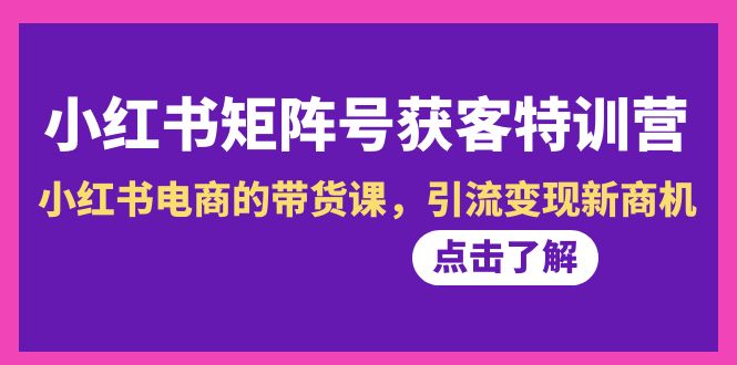 小红书-矩阵号获客特训营-第10期，小红书电商的带货课，引流变现新商机  - 学咖网-学咖网