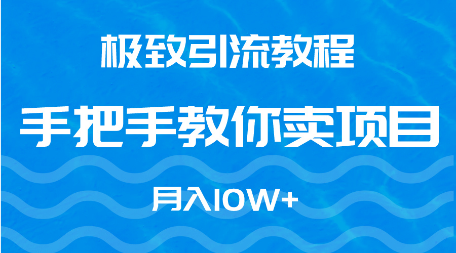 极致引流教程，手把手教你卖项目，月入10W+ - 学咖网-学咖网