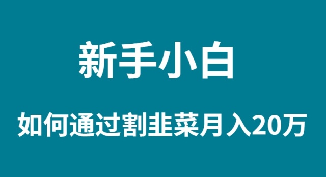 新手小白如何通过割韭菜月入 20W - 学咖网-学咖网