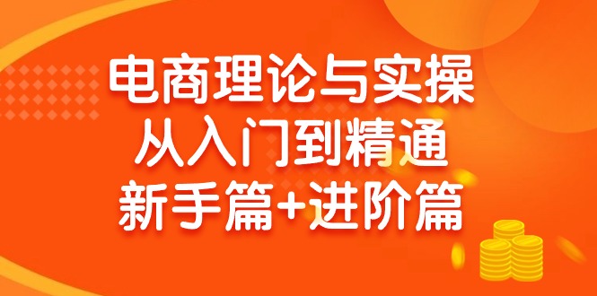 电商理论与实操从入门到精通 新手篇+进阶篇 - 学咖网-学咖网