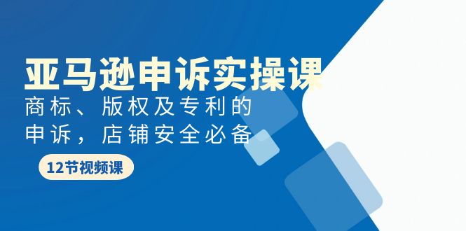 亚马逊-申诉实战课，​商标、版权及专利的申诉，店铺安全必备 - 学咖网-学咖网