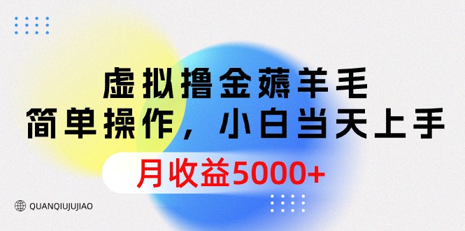 虚拟撸金薅羊毛，简单操作，小白当天上手，月收益5000+ - 学咖网-学咖网