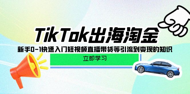 TikTok-出海淘金，新手0-1快速入门短视频直播带货等引流到变现的知识 - 学咖网-学咖网