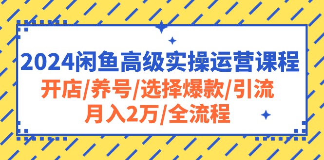 2024闲鱼高级实操运营课程：开店/养号/选择爆款/引流/月入2万/全流程 - 学咖网-学咖网