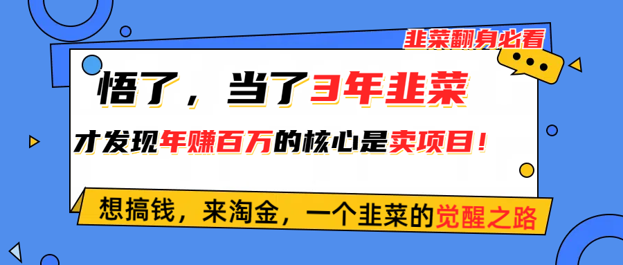 悟了，当了3年韭菜，才发现网赚圈年赚100万的核心是卖项目，含泪分享 - 学咖网-学咖网