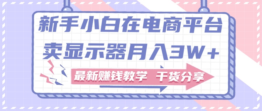 新手小白如何做到在电商平台卖显示器月入3W+，最新赚钱教学干货分享 - 学咖网-学咖网