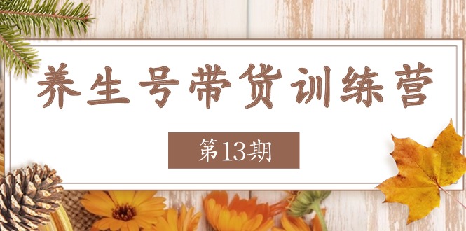 养生号-带货训练营【第13期】收益更稳定的玩法，让你带货收益爆炸 - 学咖网-学咖网