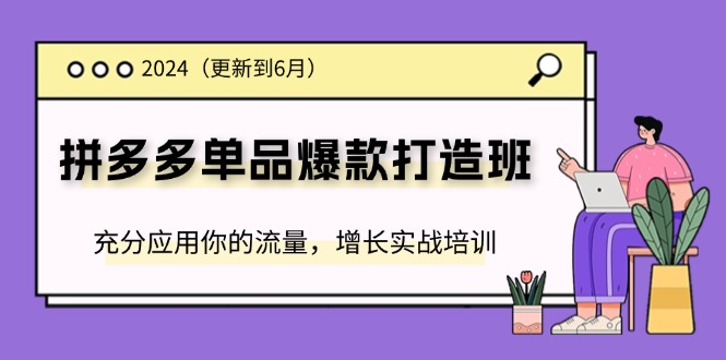 2024拼多多-单品爆款打造班(更新6月)，充分应用你的流量，增长实战培训 - 学咖网-学咖网