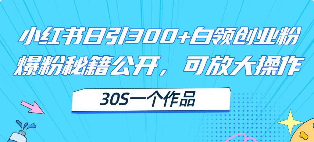 小红书日引300+高质白领创业粉，可放大操作，爆粉秘籍！30s一个作品 - 学咖网-学咖网