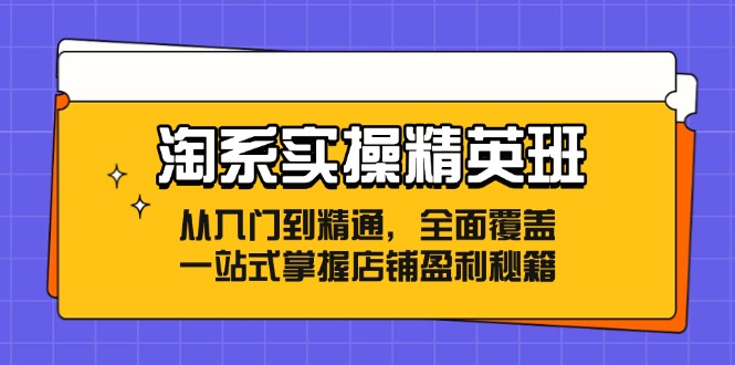 淘系运营精英成长班：全链路覆盖，从基础入门到技能精通，一站式解锁店铺盈利秘籍 - 学咖网-学咖网