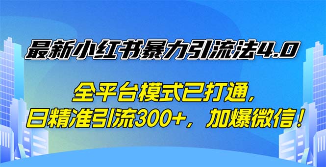 小红书引流新纪元4.0：全平台融通策略，日精准粉丝突破300+，微信好友暴增秘籍 - 学咖网-学咖网