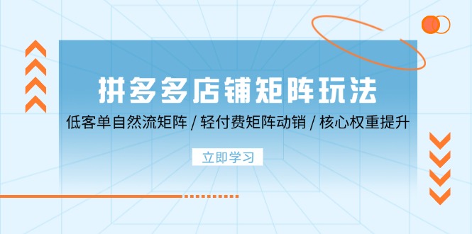 拼多多店铺运营新策略：低客单价自然流量矩阵构建 & 轻量级付费矩阵驱动动销，加速核心权重提升 - 学咖网-学咖网