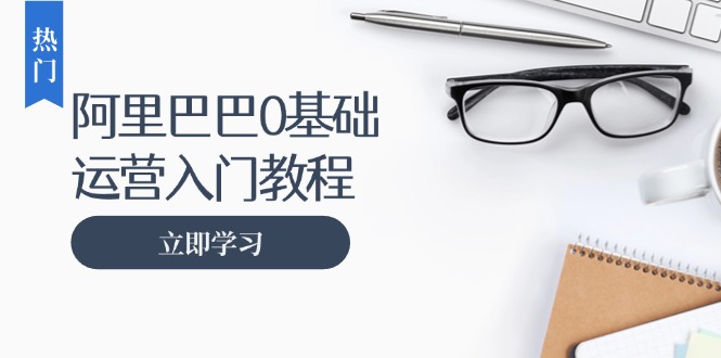 阿里巴巴运营零基础入门教程：涵盖开店、运营、推广，快速成为电商高手 - 学咖网-学咖网