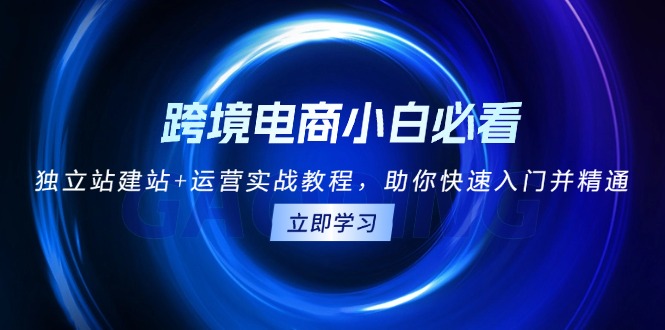 跨境电商小白必看！独立站建站+运营实战教程，助你快速入门并精通 - 学咖网-学咖网