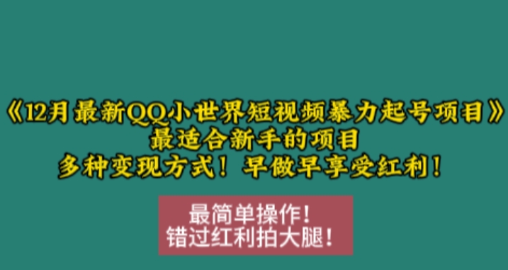 12月最新QQ小世界短视频暴力起号项目，最适合新手的项目，多种变现方式 - 学咖网-学咖网