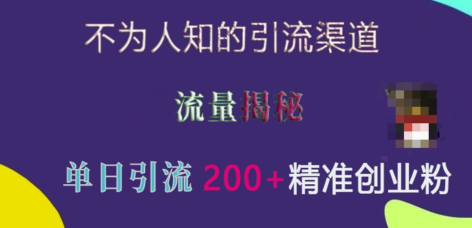 不为人知的引流渠道，流量揭秘，实测单日引流200+精准创业粉 - 学咖网-学咖网