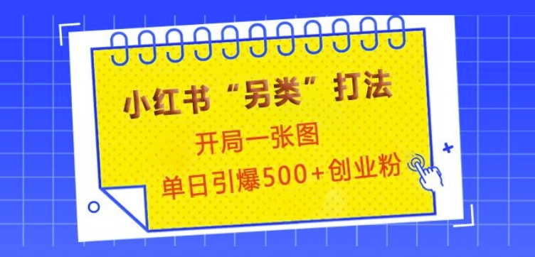 小红书“另类”打法，开局一张图，单日引爆500+精准创业粉 - 学咖网-学咖网