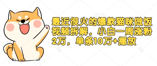 最近很火的爆款猫咪做饭视频拆解，小白一周涨粉2万，单条10万+播放(附保姆级教程) - 学咖网-学咖网