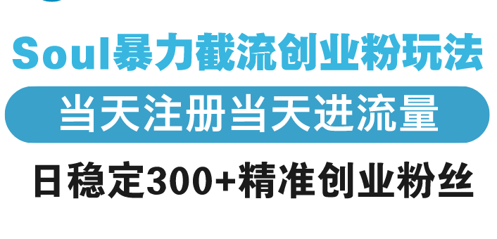 Soul暴力截流创业粉玩法，当天注册当天进流量，日稳定300+精准创业粉丝 - 学咖网-学咖网