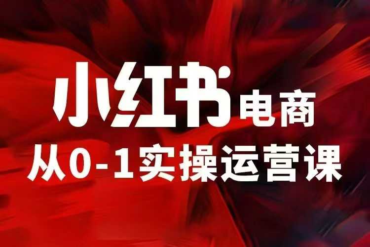 小红书电商运营，97节小红书vip内部课，带你实现小红书赚钱 - 学咖网-学咖网