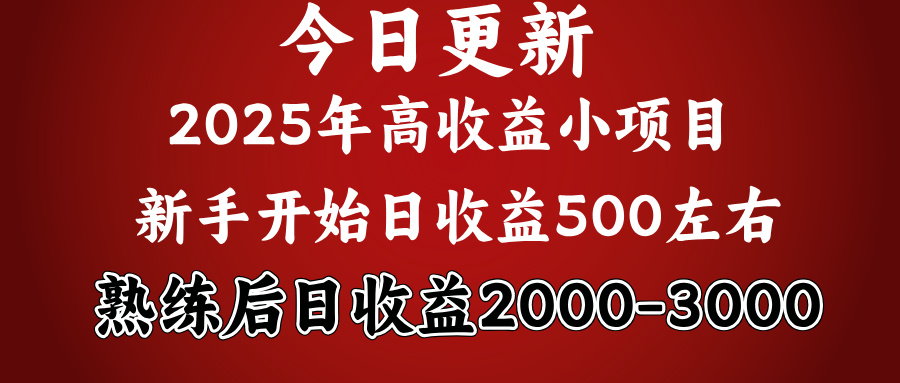 2025开年好项目，新手日收益500+ 熟练掌握后，日收益平均2000多 - 学咖网-学咖网